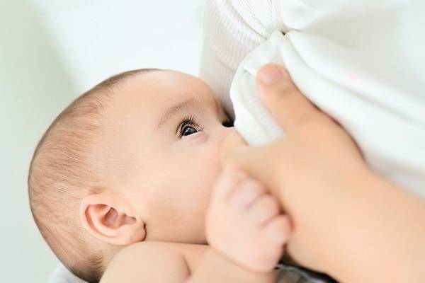 Грудное кормление новорожденных после родов:  советы