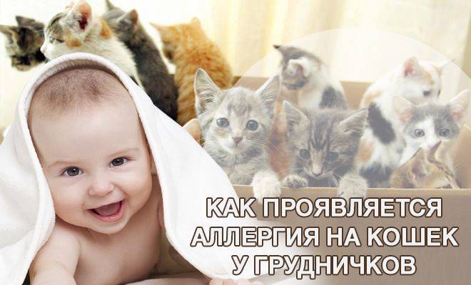Когда весна не в радость: как победить аллергический ринит