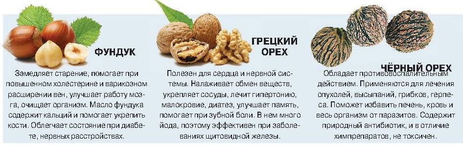 Орех макадамия детям: можно ли употреблять малышам и со скольки лет, до какого возраста есть нельзя, в чем польза и вред для организма, полезен ли для улучшения сна?