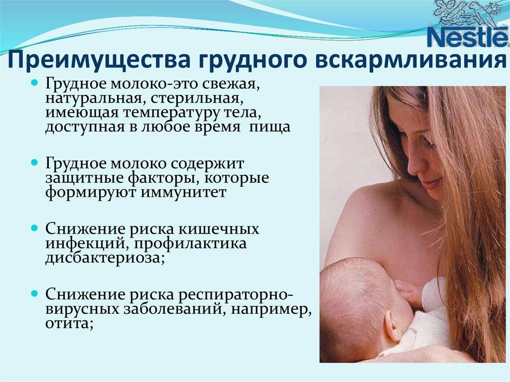 Гв: главное о грудном вскармливании. как наладить кормление новорожденного