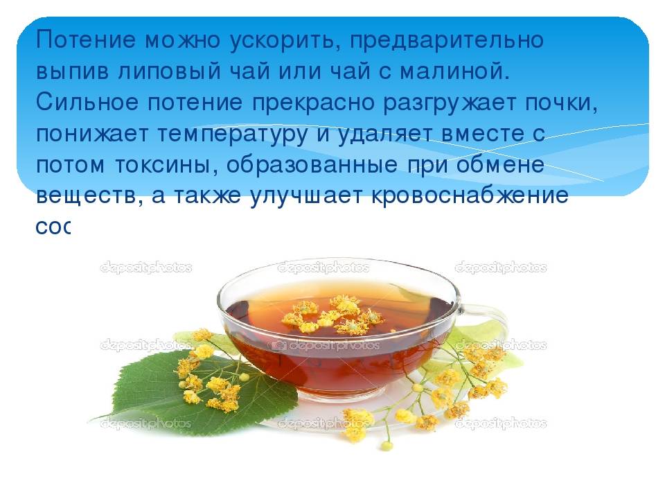 Топ-11 пребиотиков для кишечника - рейтинг хороших средств 2020