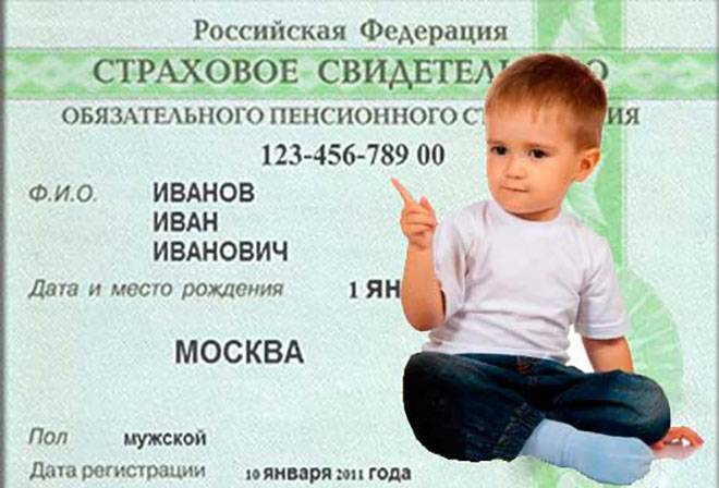 Оформление снилс новорожденному в 2019 году