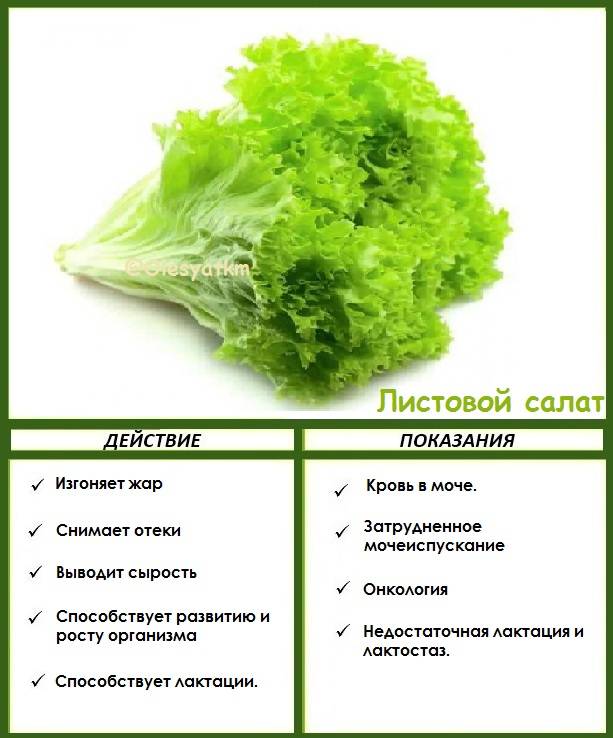 Салаты для кормящих мам: 5 безопасных рецептов с фото и видео