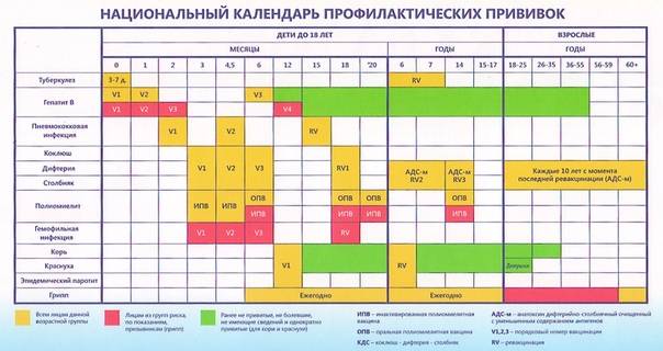 Календарь прививок российской федерации — таблица