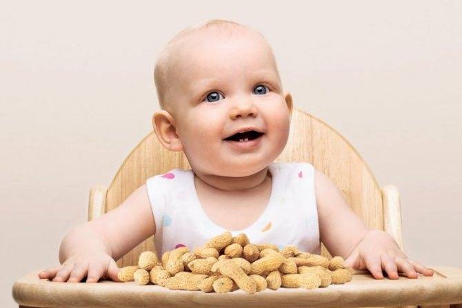 Орехи детям: какие и со скольки можно давать орехи, нормы в день по возрасту - орех эксперт