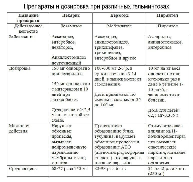 Схема лечения гельминтоза у кошек