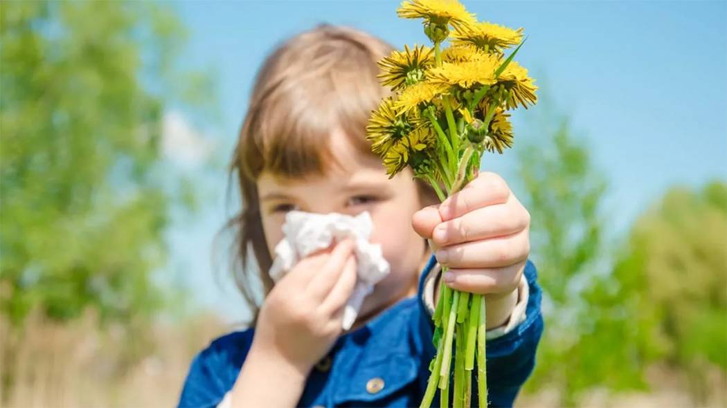 Аллергия на цветение у ребенка
