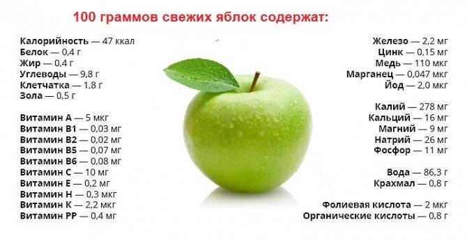 Употребление красных и желтых яблок при грудном вскармливании. польза и вред плодов и их отличие от зеленых