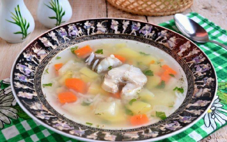 Рыбные супы для детей: особенности введения в рацион. рецепты рыбных супов для детей из свежей рыбы и консервов