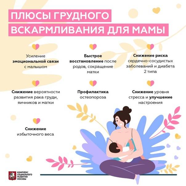 Долгое кормление грудью. собственный опыт: дети - женская социальная сеть myjulia.ru