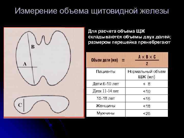 Расшифровка результатов узи щитовидной железы