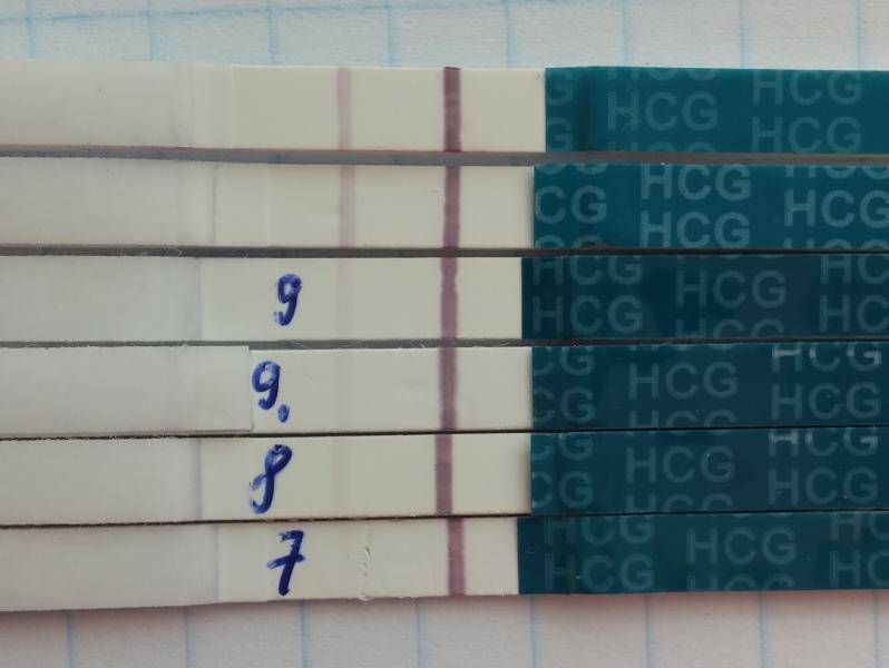 Тесты после переноса эмбрионов. Тесты после эко. Выделения после эко на 7 день переноса эмбрионов. Тест на беременность после эко. Фото тестов после эко.