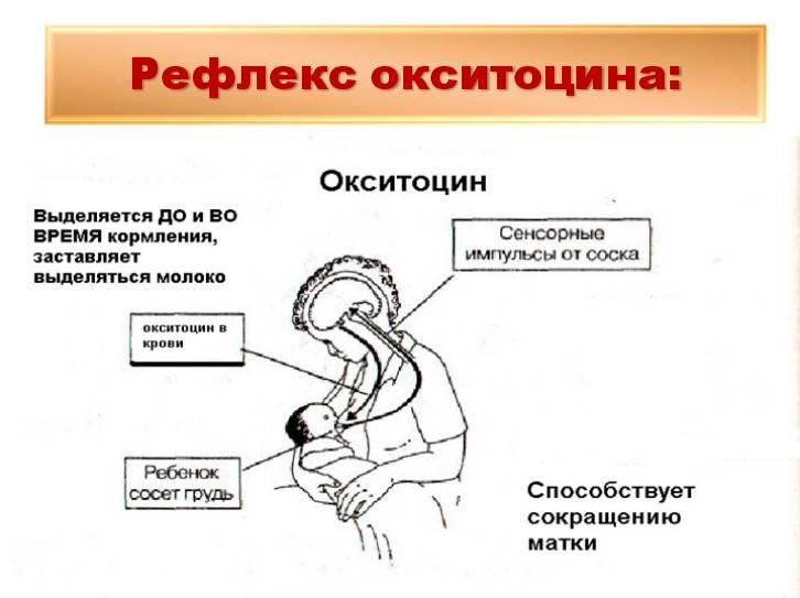 Наблюдение в послеродовом периоде. осложнения и заболевания послеродового периода