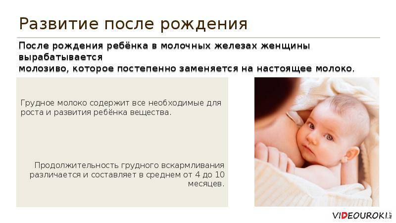 Зрение у новорожденных, этапы развития зрения у младенцев - детская поликлиника № 7