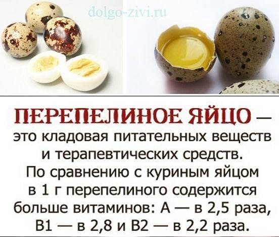 Перепелиные яйца для детей: чем полезны, когда и как давать, как выбрать, меры предосторожности