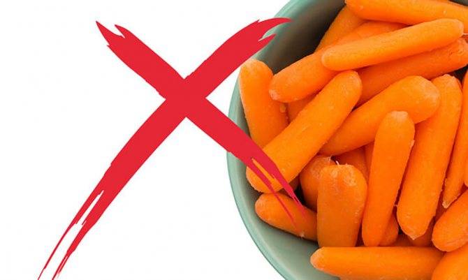 Можно ли собаке давать морковь: о пользе и вреде овоща, когда, в каком виде добавлять в пищу