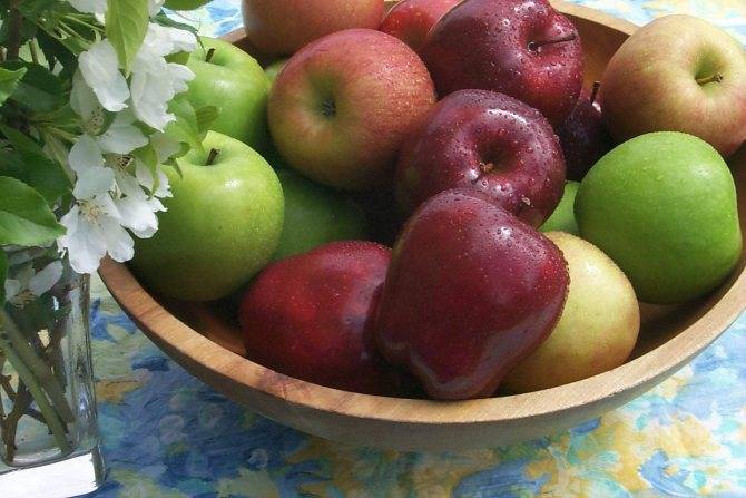 Можно ли яблоки при грудном вскармливании - зеленые, красные, печеные