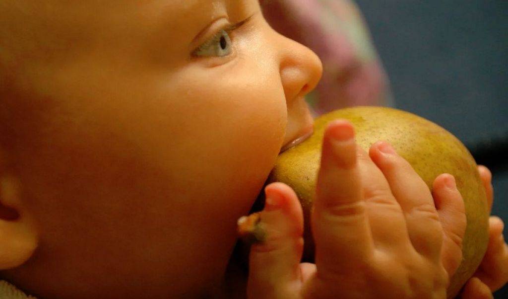 Груши при грудном вскармливании: можно ли их есть во время гв кормящей маме новорожденного, в первый и второй месяц, когда матери разрешено кушать печёные, компот?