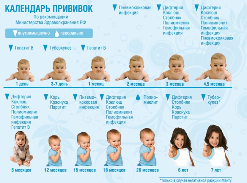 Календарь прививок детям до 1 года: таблица и график вакцинации новорожденных
