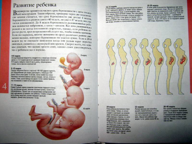 Беременность после анэмбрионии - вопрос гинекологу - 03 онлайн