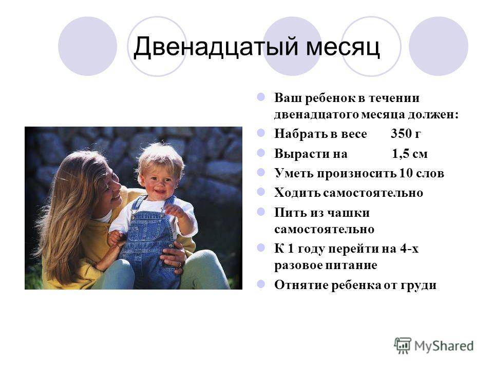 Что должен уметь ребенок в 11 месяцев. какими должы быть физические показатели при нормальном развитии ребенка в 11 месяцев. - автор екатерина данилова - журнал женское мнение