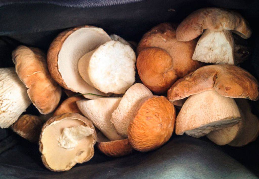 Можно ли грибы и грибной суп при грудном вскармливании