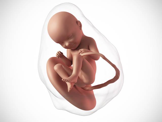 Третья неделя беременности от зачатия: признаки, что происходит с ребенком, узи плода, что делать, если болит живот
