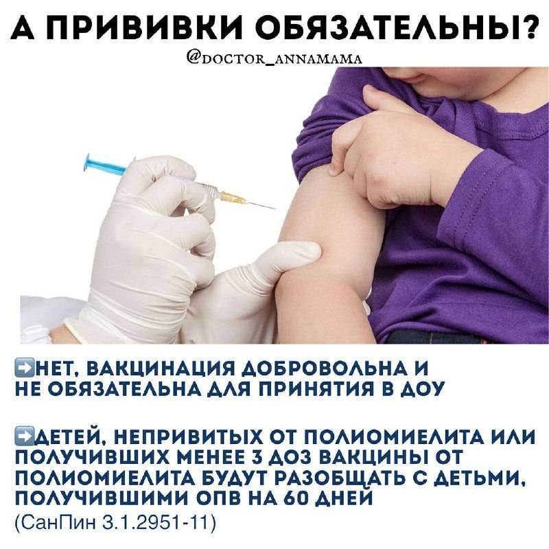Какие прививки обязательно нужны для поступления в детский сад и возьмут ли ребенка без них?