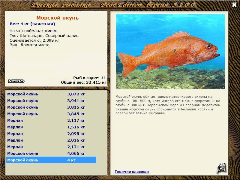 Как приготовить морского окуня ребенку