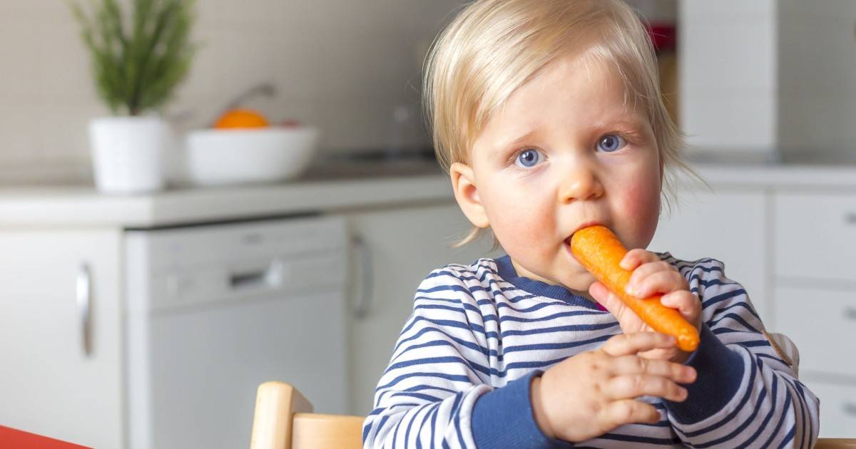Как научить ребенка жевать твердую пищу, советы доктора комаровского