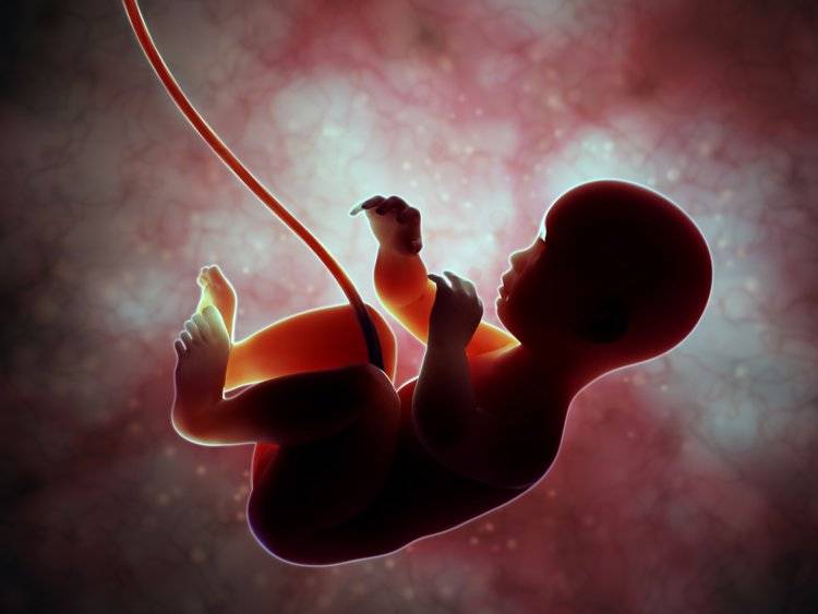 Внутриматочная терапия: заболевания плода, которые можно лечить в утробе матери | аборт в спб