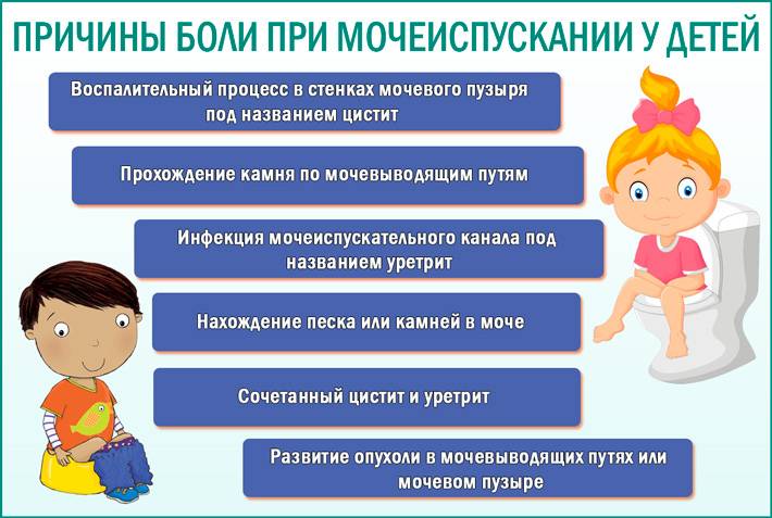 Энурез. диагностика и лечение ночного энуреза у детей. что делать родителям при энурезе у ребенка