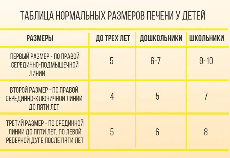 Нормальная толщина. Нормы размеров печени по УЗИ У детей 2 лет. Нормы размеров печени по УЗИ У детей. Размеры печени в норме по УЗИ У детей 7 лет. Размеры печени в норме у детей 3 лет.