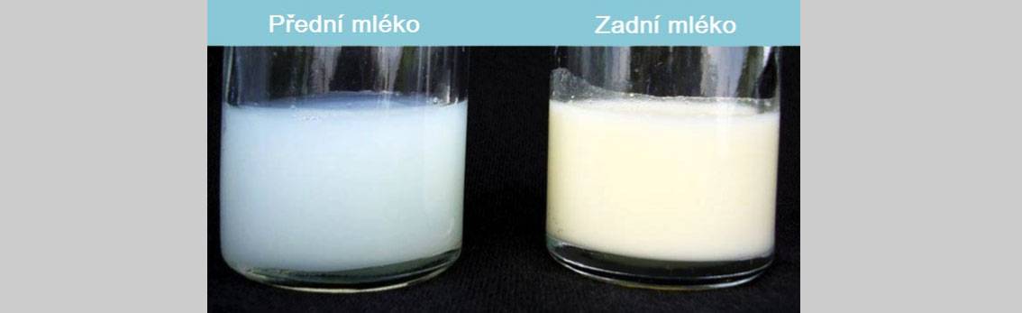 Особенности вкуса и запаха грудного молока: нормы и причины изменений