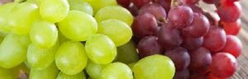 Можно ли при грудном вскармливании виноград?