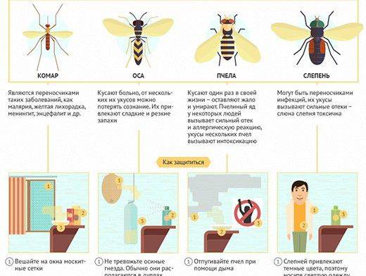 Укусы насекомых у детей — что делать и как помочь