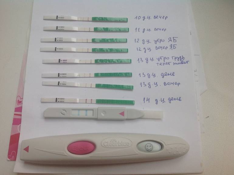 Задержка месячных при отрицательном тесте на беременность: причины, последствия, что делать
