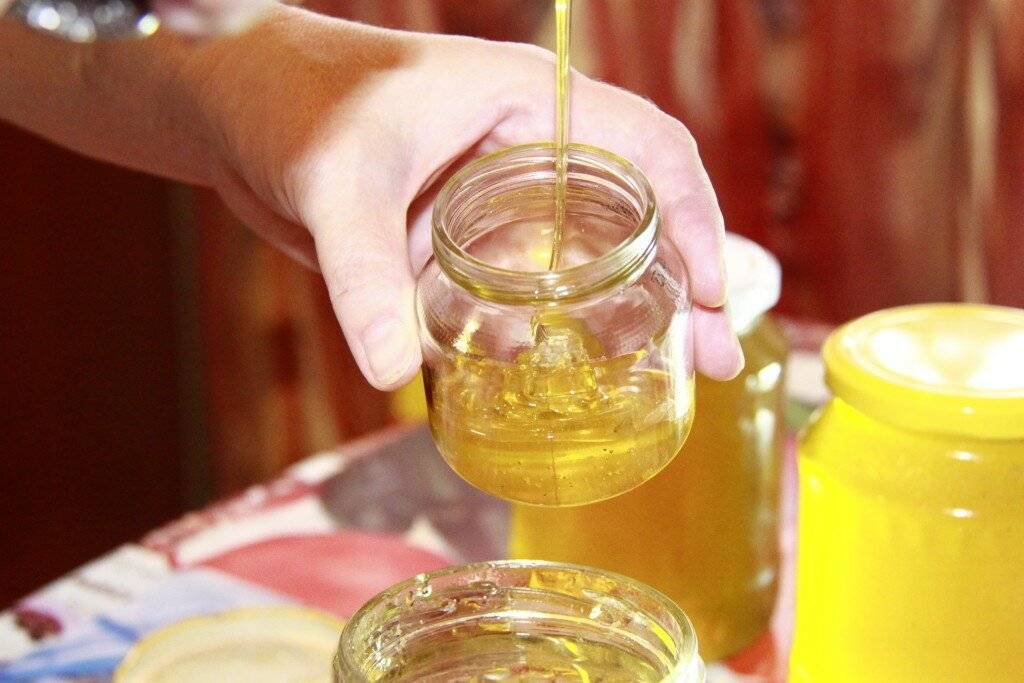 Как проверить мед на натуральность в домашних условиях | fit-book.ru