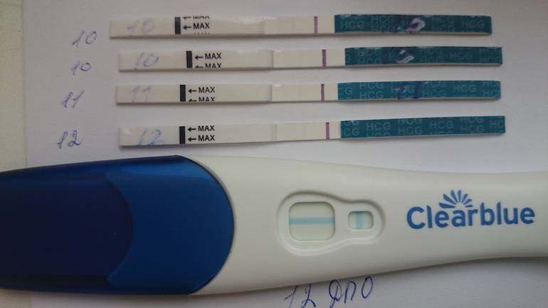 Температура и задержка месячных: может ли это быть беременность, если тест отрицательный, или нет?