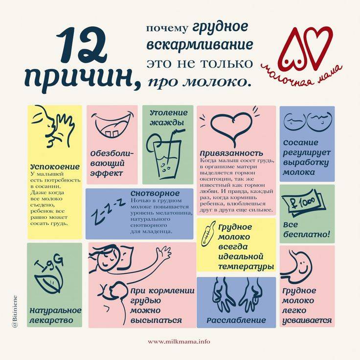 Лактация: особенности грудного вскармливания - медицинский портал eurolab