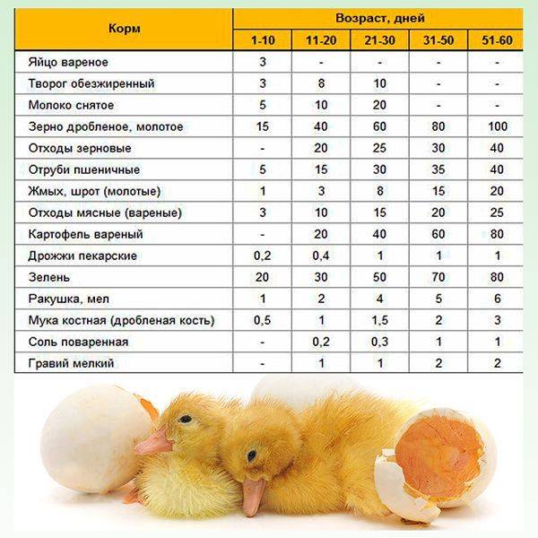 Все о детях