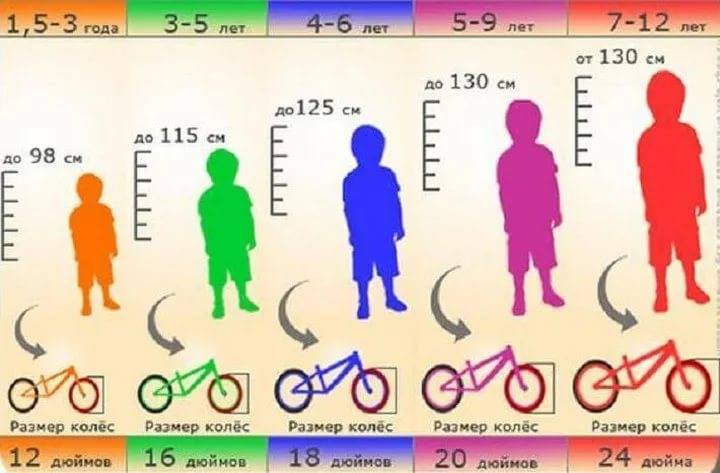 Как выбрать подходящий велосипед для ребёнка? | выбор велосипеда | veloprofy.com