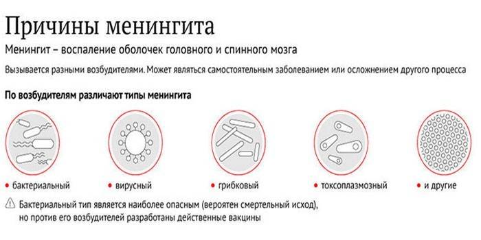 Признаки менингита у взрослых. Минингитовая инфекция симптомы у детей до года. Симптомы минингитовой инфекции у детей 5 лет. Минингитовая инфекция симптомы у детей 5 лет. Минингитовая инфекция симптомы у детей 3 лет.