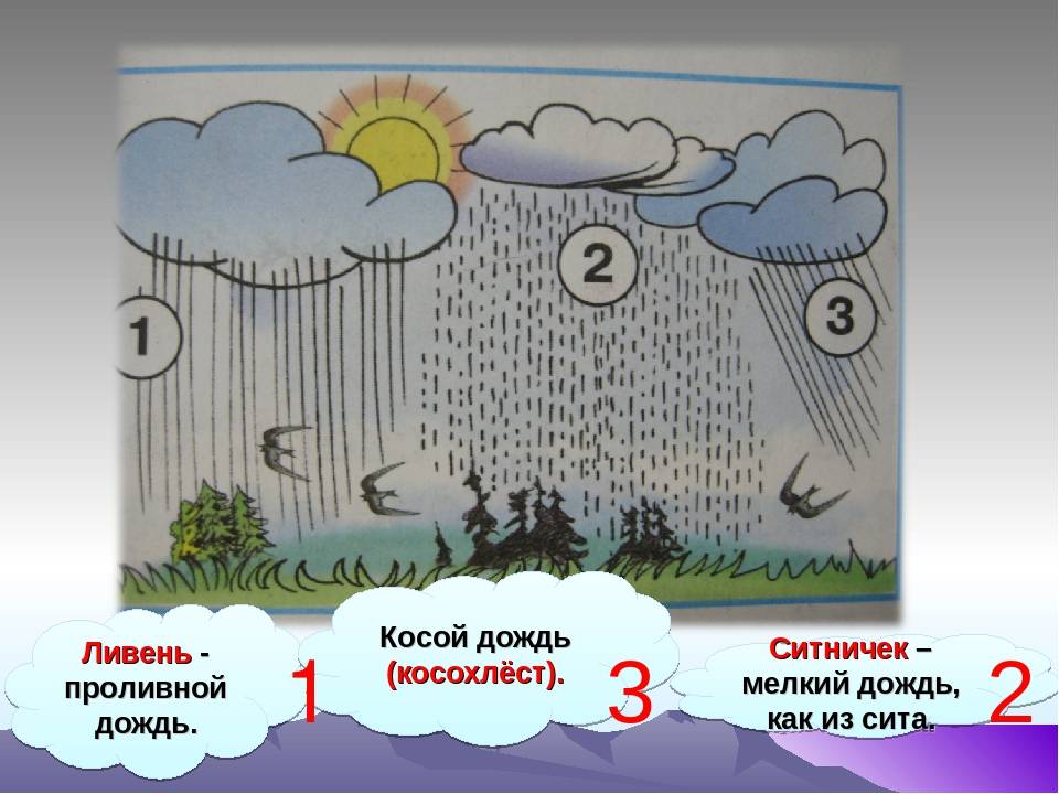 Конспект урока в 1 классе «почему идёт дождь и дует ветер». воспитателям детских садов, школьным учителям и педагогам - маам.ру