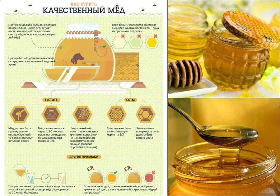 Определение качества мёда в домашних условиях