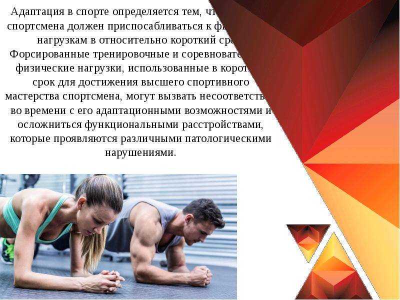 Спортивная адаптация. Адаптация в спорте. Статическая нагрузка в спорте. Адаптация организма спортсмена. Адаптация спортсменов к физическим нагрузкам.