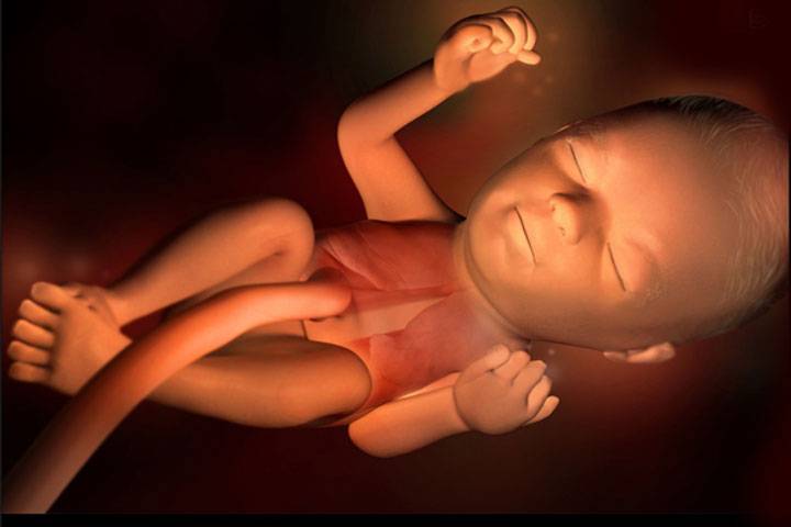 29 неделя беременности: как развивается малыш в утробе матери?