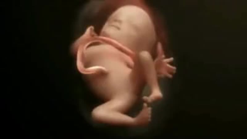 Одноразовые органы: 10 вопросов о том, что происходит во время беременности — wonderzine