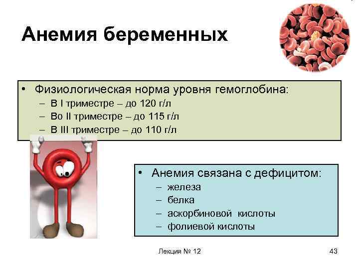 Норма гемоглобина при беременности во 2 триместре и отклонения от нормы