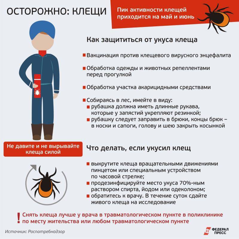 Помощь при укусе клеща